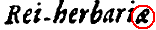 ae